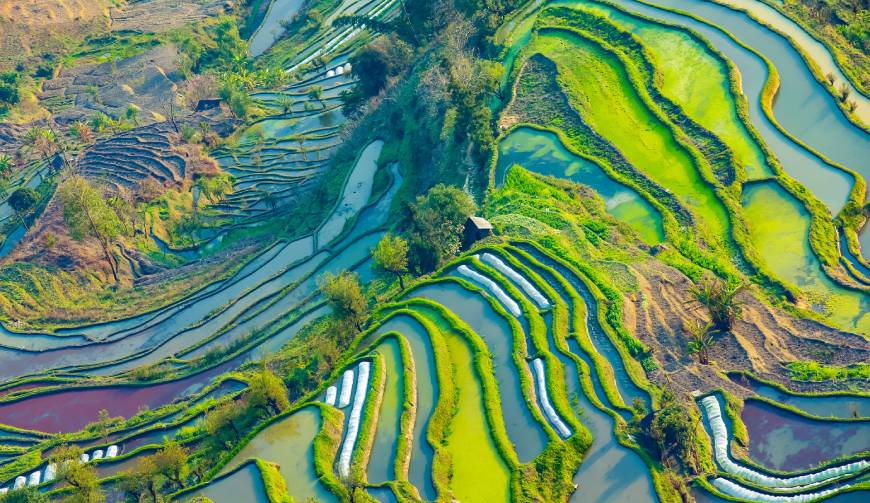 走进突泉县TVC拍摄：解锁本地化场景与创意镜头的完美融合